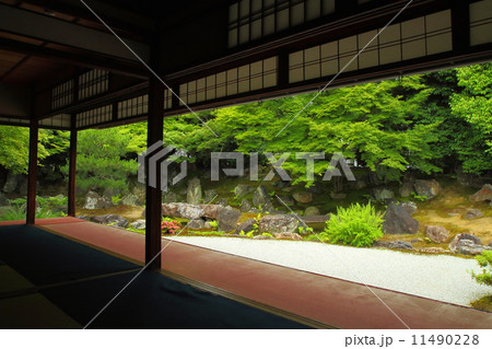 圓徳院の庭 11490228