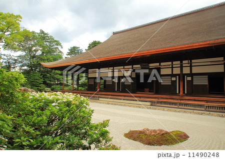 建仁寺の大雄苑 11490248