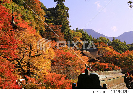 談山神社（奈良）の紅葉 11490895