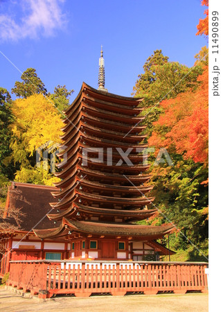 談山神社（奈良）の紅葉 11490899