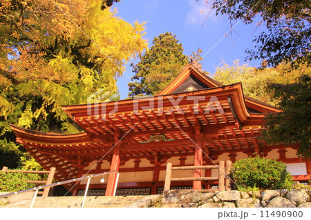 談山神社（奈良）の紅葉 11490900