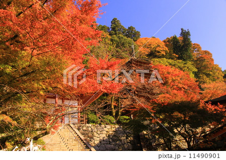 談山神社（奈良）の紅葉 11490901