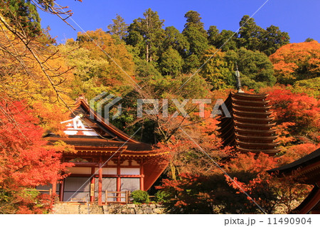 談山神社(奈良)の紅葉 談山神社(奈良)の紅葉 11490904