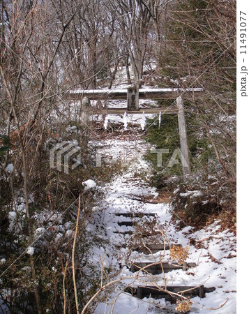 雪のお宮参り 11491077