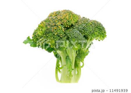ブロッコリー 11491939