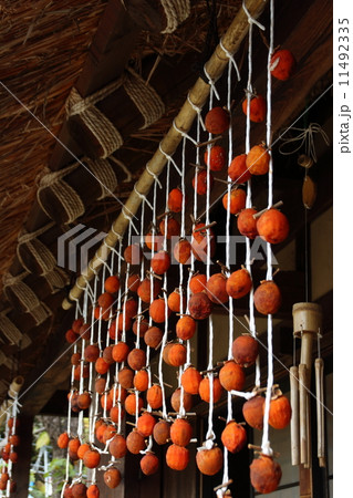 軒下の干し柿 軒下の干し柿 11492335