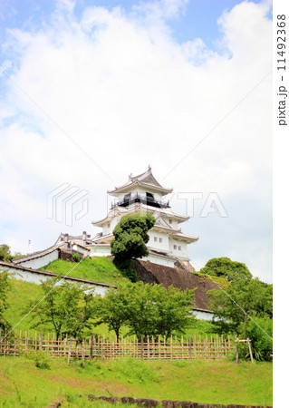 夏空の掛川城 11492368
