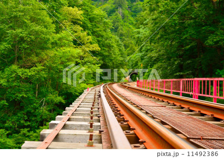 線路とトンネル 11492386