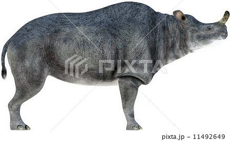 ブロントテリウム☆Brontotherium 11492649
