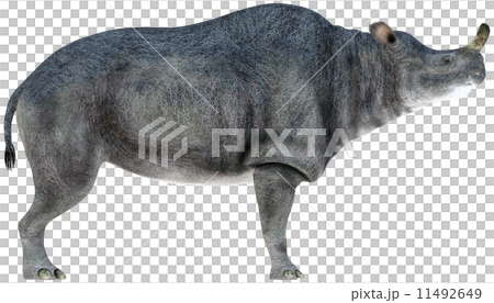 Brontotherium ☆ Brontotherium 11492649