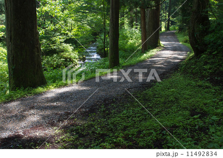 新潟県五泉市 慈光寺 参道 新潟県五泉市 慈光寺 参道 11492834