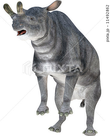 ブロントテリウム☆Brontotherium ブロントテリウム☆Brontotherium 11492862