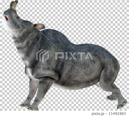 ブロントテリウム☆Brontotherium ブロントテリウム☆Brontotherium 11492863
