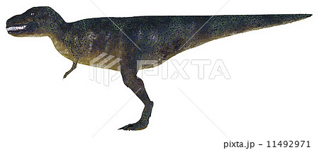 T-REX☆ティラノサウルス 11492971