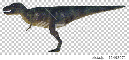 T-REX☆ティラノサウルス 11492971