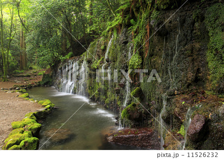 箱根 千条の滝 11526232