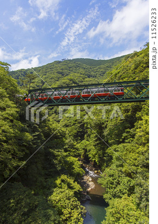 出山鉄橋を渡る箱根登山鉄道 出山鉄橋を渡る箱根登山鉄道 11526233