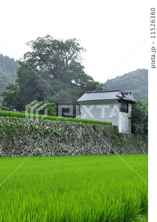 安心院の風景 11526360