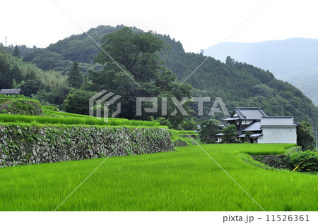 安心院町の風景 11526361