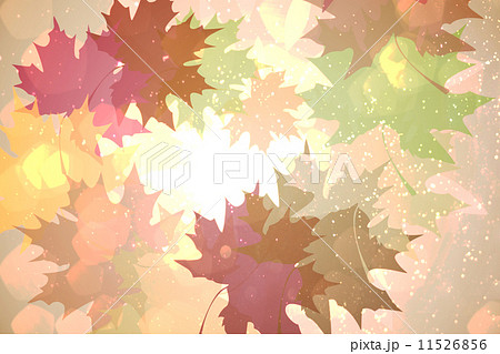 Autumnal leaf pattern in warm tones 11526856