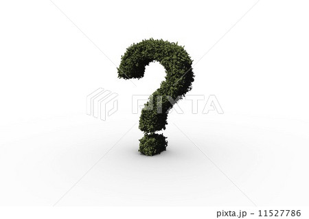 Question mark made of leaves 11527786