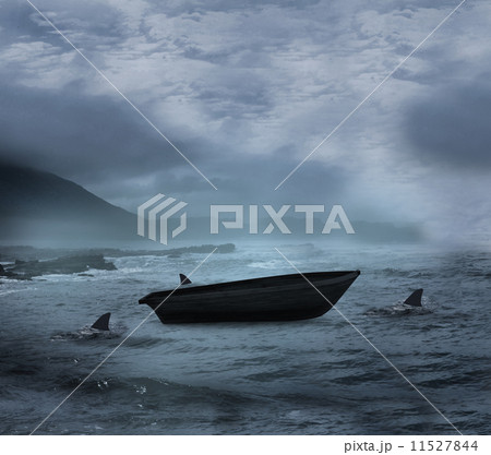 Sail boat being circled by sharks 11527844
