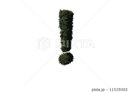 Exclamation mark made of leaves 11529302