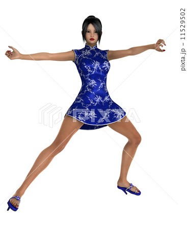 カンフーガール 11529502