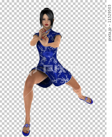 カンフーガール 11529503