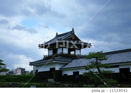 広島城より 11529541