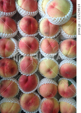 果実　桃　 11529614