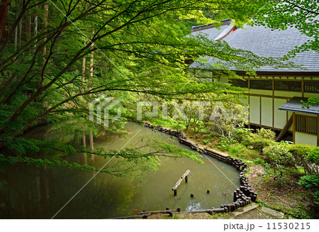 上田散歩・安楽寺　本堂と池 11530215