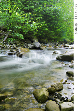 Mountain stream Mountain stream 11530255