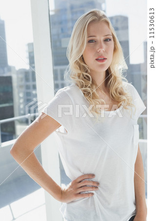 Pretty blonde looking at camera 11530613
