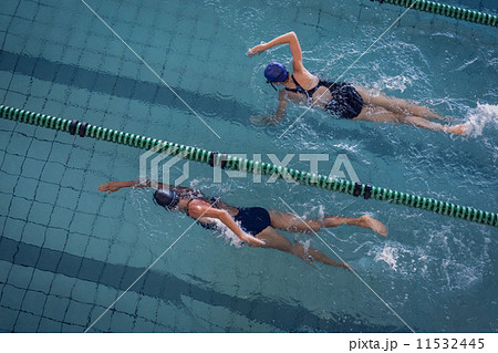 Female swimmers racing in the swimming pool 11532445