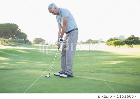 Golfer putting ball on the green Golfer putting ball on the green 11536057