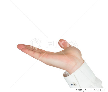 Businessman holding hand out in presentation 11536108