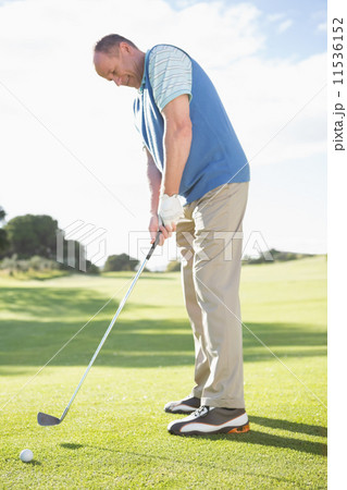 Golfer putting ball on the green 11536152