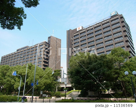 兵庫県庁庁舎 兵庫県庁庁舎 11536569