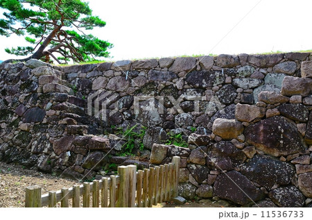 松代城　武者走り（本丸西面の石垣） 11536733