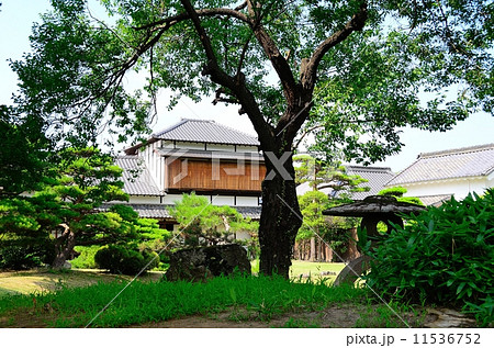 史跡 松代城跡 附新御殿跡(真田邸) 庭園から見る主屋(御殿) 史跡 松代城跡 附新御殿跡(真田邸) 庭園から見る主屋(御殿) 11536752