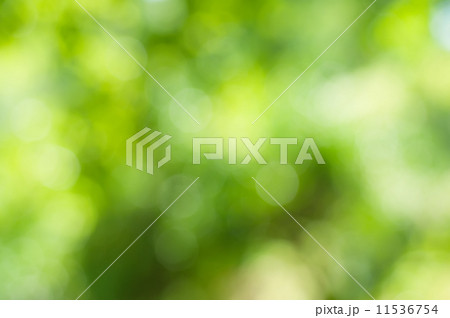 Natural bokeh Natural bokeh 11536754