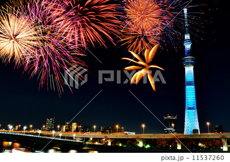 花火とスカイツリー 花火とスカイツリー 11537260