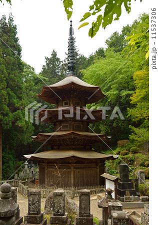 上田散歩・安楽寺　国宝の八角三重塔 11537306