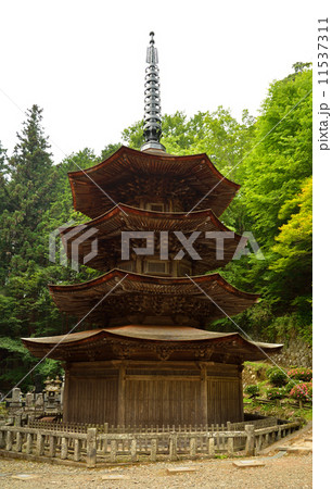 上田散歩・安楽寺　国宝の八角三重塔 11537311