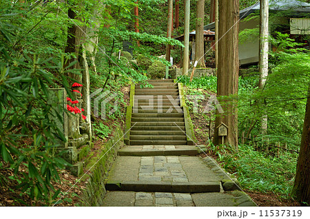 上田散歩・安楽寺　参道 11537319