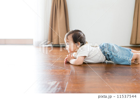 生後１１か月の赤ちゃん ずりばいの写真素材