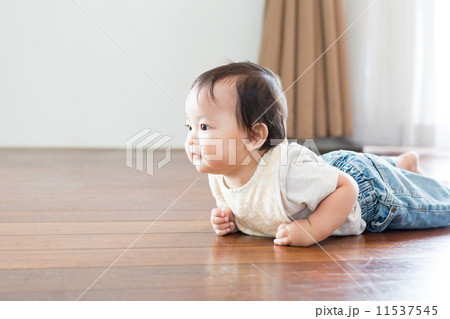 生後11か月の赤ちゃん ずりばい 生後11か月の赤ちゃん ずりばい 11537545