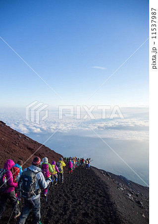 富士山 11537987