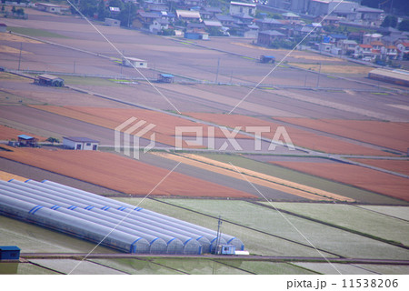 6月の田園風景 6月の田園風景 11538206